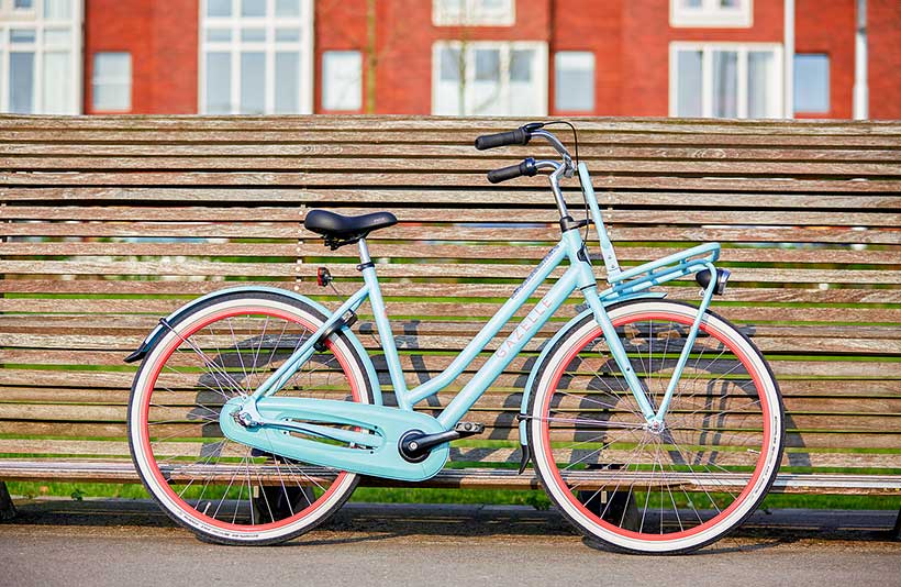 gazelle heren bruin