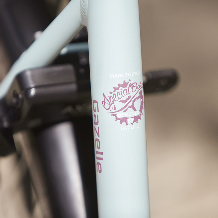 Gazelle Esprit heeft de meest krasbestendige lak.