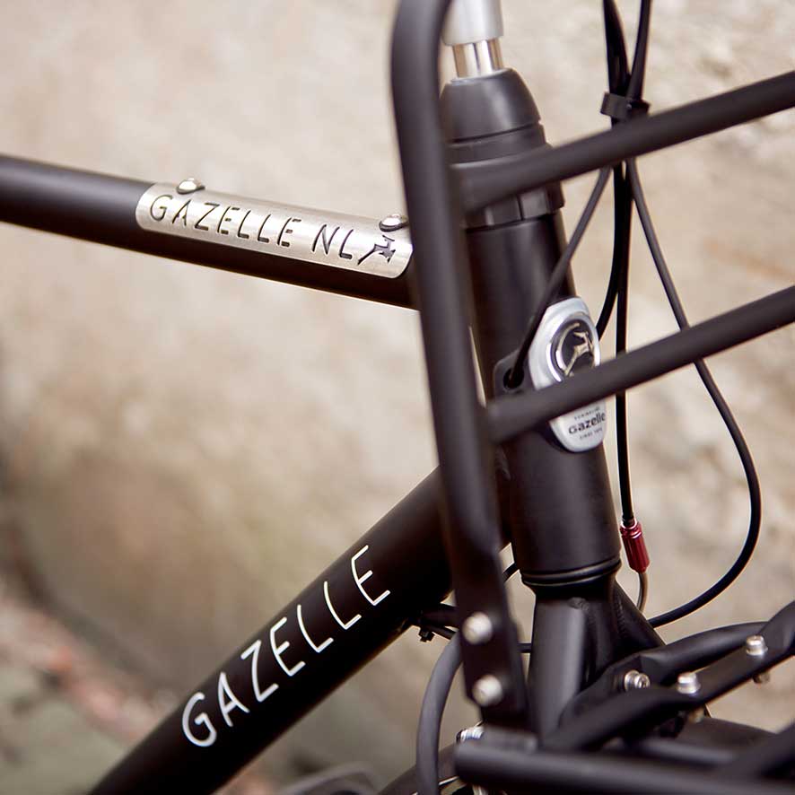 gazelle nederland